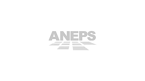 Aneps em Minas Gerais