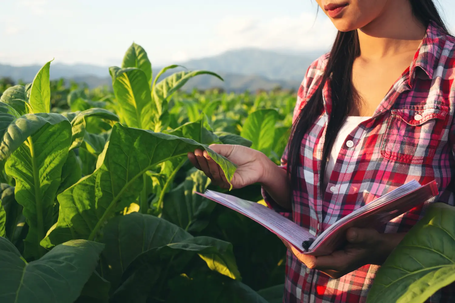Certificação Crédito Agrícola + LGPD