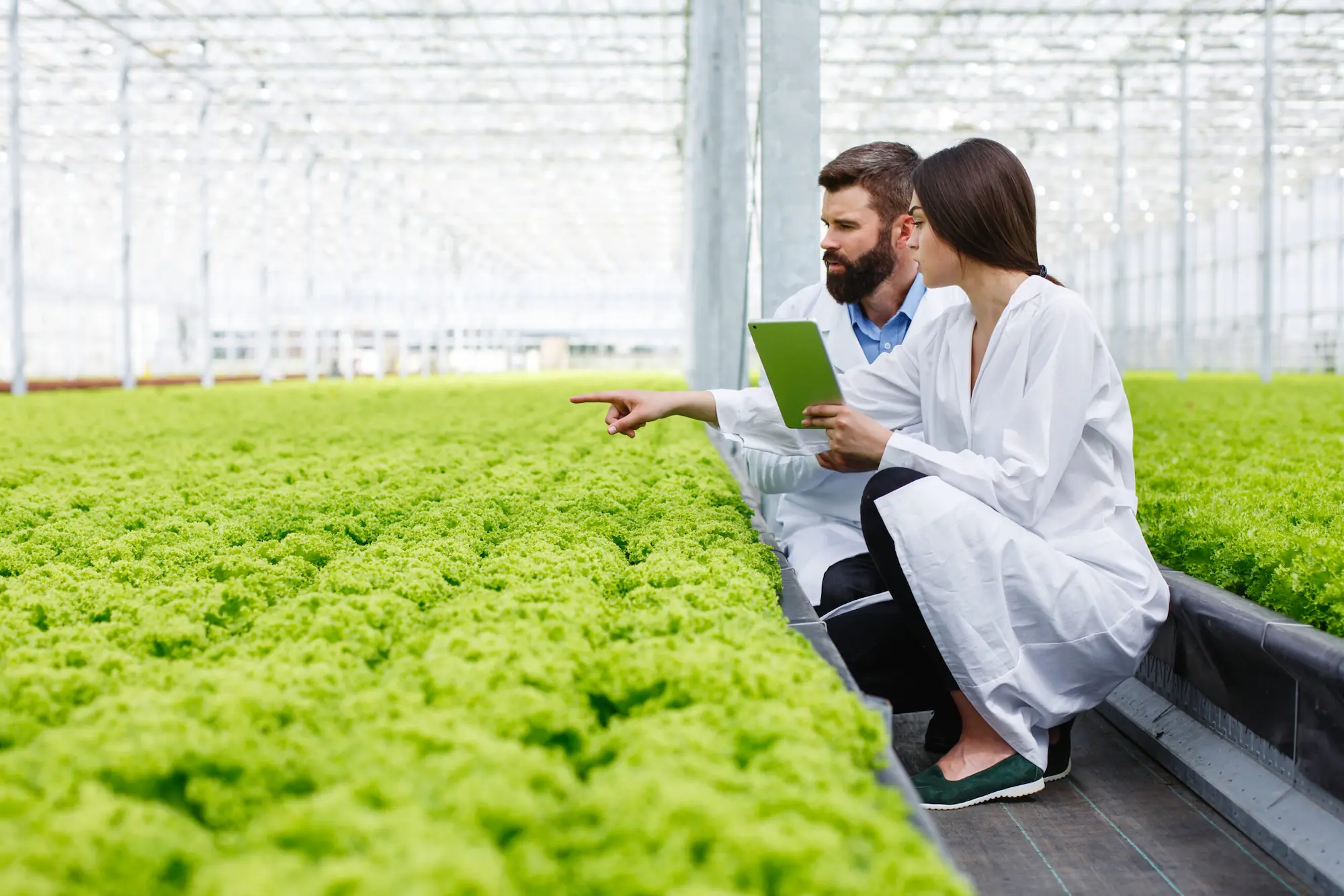 Curso de Crédito Agrícola